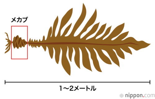 メカブ