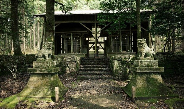 被青苔覆盖的贺茂神社  （提供：KyoLens）