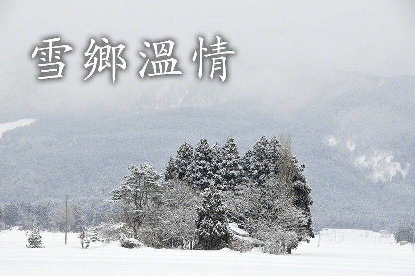 為房屋遮風擋雪的房地林（秋田縣仙北市角館）