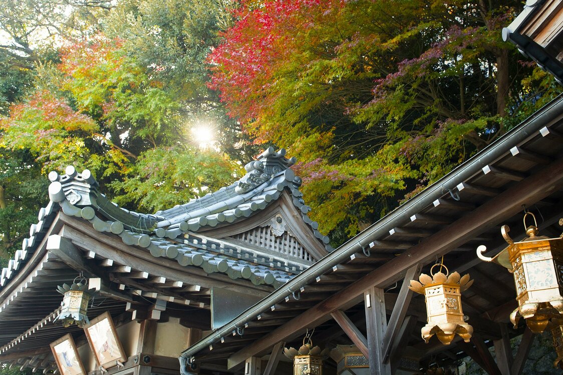 秋日的奥津嶋神社，树叶开始变红