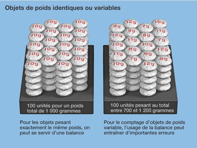 Kôshinsha : à la pointe de la technologie du « comptage extrême »