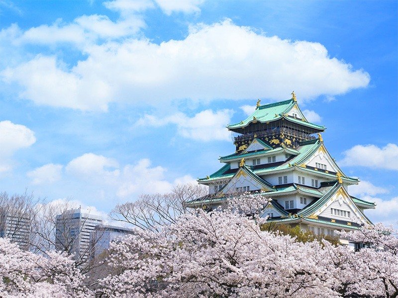 El castillo de Osaka y los cerezos en flor desde el jardín de Nishinomaru. El azul del cielo y el pálido tono rosado de las flores forman un bello contraste.