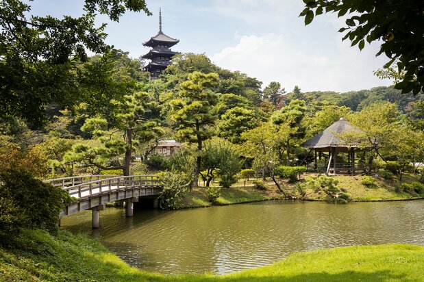 大池のほとりから、高台にそびえる旧燈明(とうみょう)寺三重塔(国指定重要文化財)を望む。三溪園のシンボルで、最も古い建造物だ