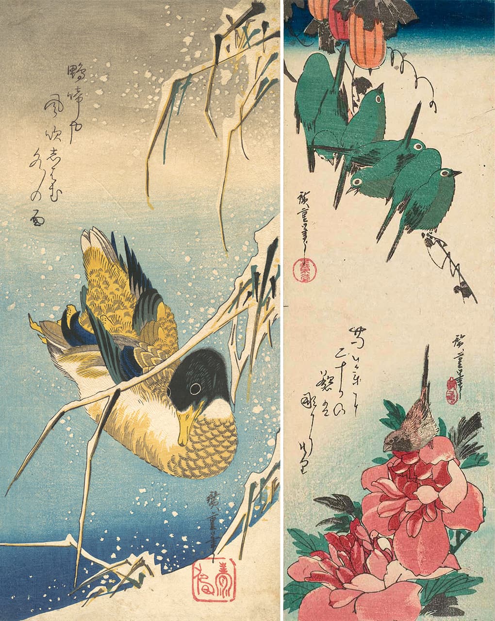 Izquierda: Pato entre cañas cubiertas de nieve. Colección del Museo Metropolitano de Arte. Derecha: Anteojitos japoneses sobre planta de ‘karasuuri’ (Trichosanthes cucumeroides) y pajarito sobre peonía. Colección del Museo de Bellas Artes de Boston.