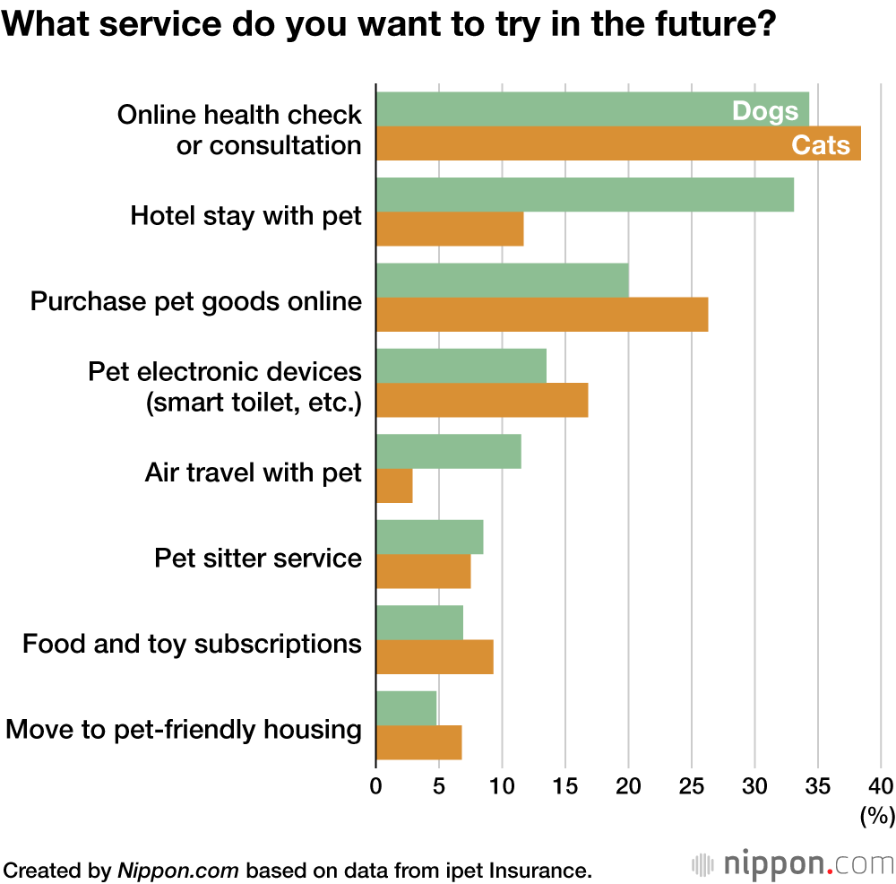 Japanese Pet Owners Spend More on Dogs and Cats in 2021