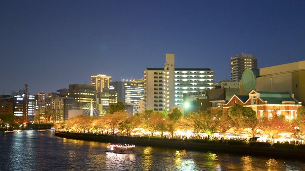 对外开放的一周时间内会有70万人来访。日落后也有大批游人前来欣赏夜樱