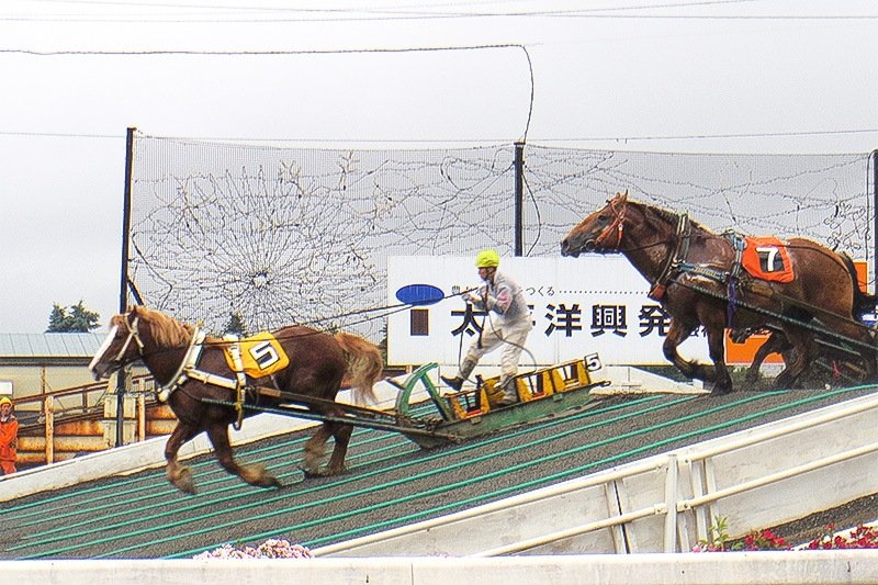 「あとはゴールにひた走り」とは行かないのがこの競馬