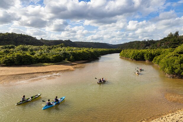 On the way back from Daisekirinzan, visitors can try activities like canoeing through mangrove forests on the Gesashi River in Higashi or river trekking at Taa Falls in Ōgimi.