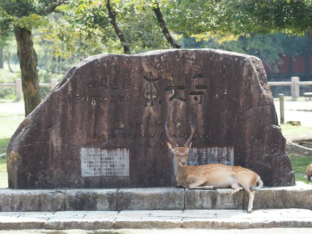 参拜道上写有“世界遗产 东大寺”等字样的石碑