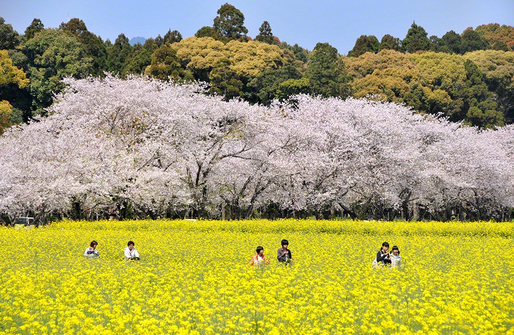 Parc de Saitobaru, Saito, Préfecture de Miyazaki