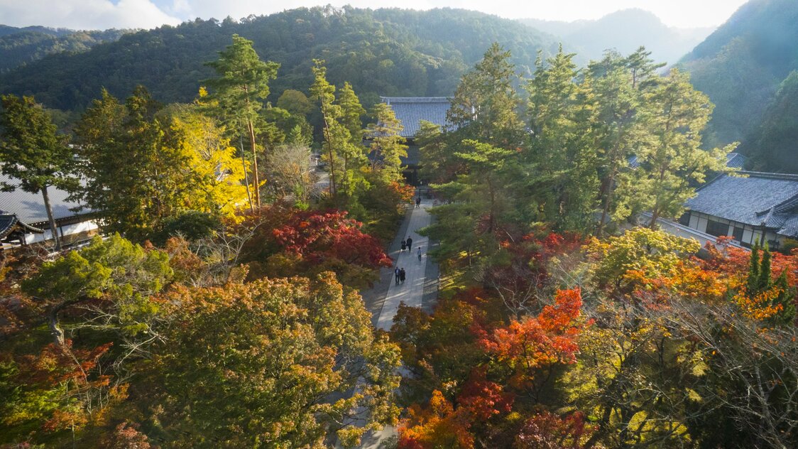 The view from Nanzenji’s Sanmon gate. Legend has it that “Zekkei ka na, zekkei ka na!” (Magnificent! Stunning!) the well-known kabuki line attributed to Ishikawa Goemon, the notorious samurai-turned-bandit, referred to this locale.