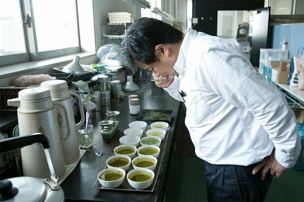 At Marushichi Seicha, samples of tea are tested on a daily basis to monitor their content and quality.