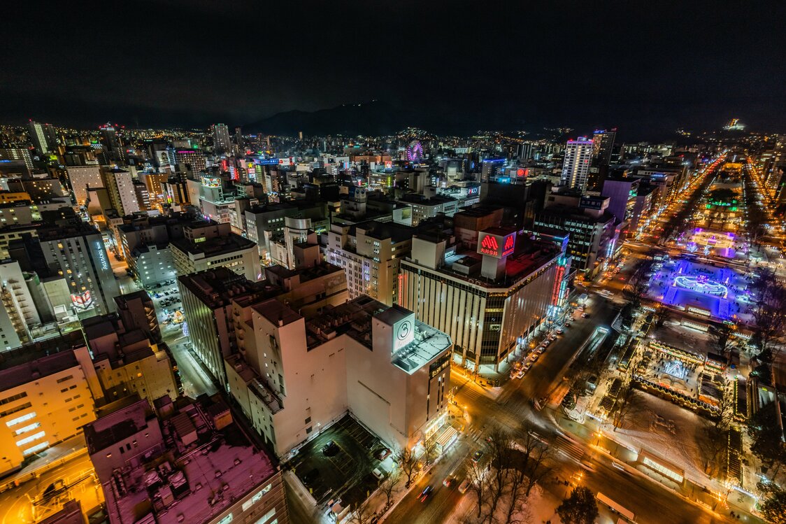 さっぽろホワイトイルミネーション：夜の札幌を彩る冬の風物詩【動画】