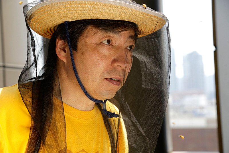 銀座のミツバチが教えてくれたこと