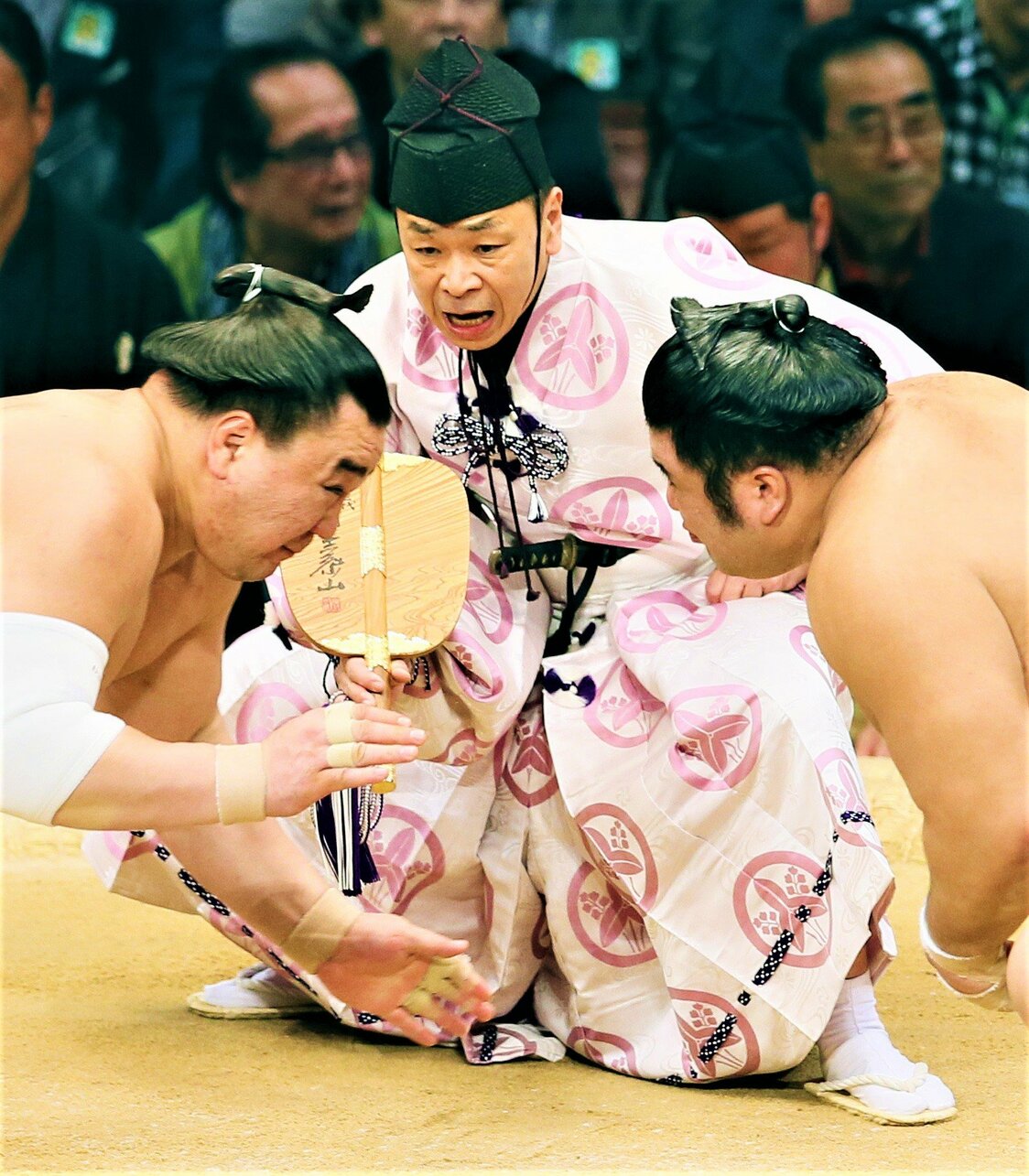 取組をさばく立行司の第40代式守伊之助（中央奥）。装束から短刀の柄がのぞく＝2015年11月18日、福岡国際センター　時事