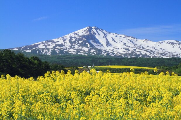 Le mont Chôkai (© Photolibrary)
