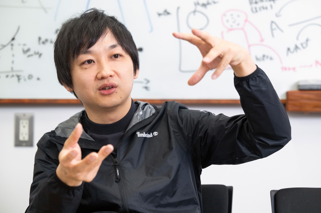 臓器は“つながり”の中で生きる：iPS細胞から作るオルガノイド研究の最前線