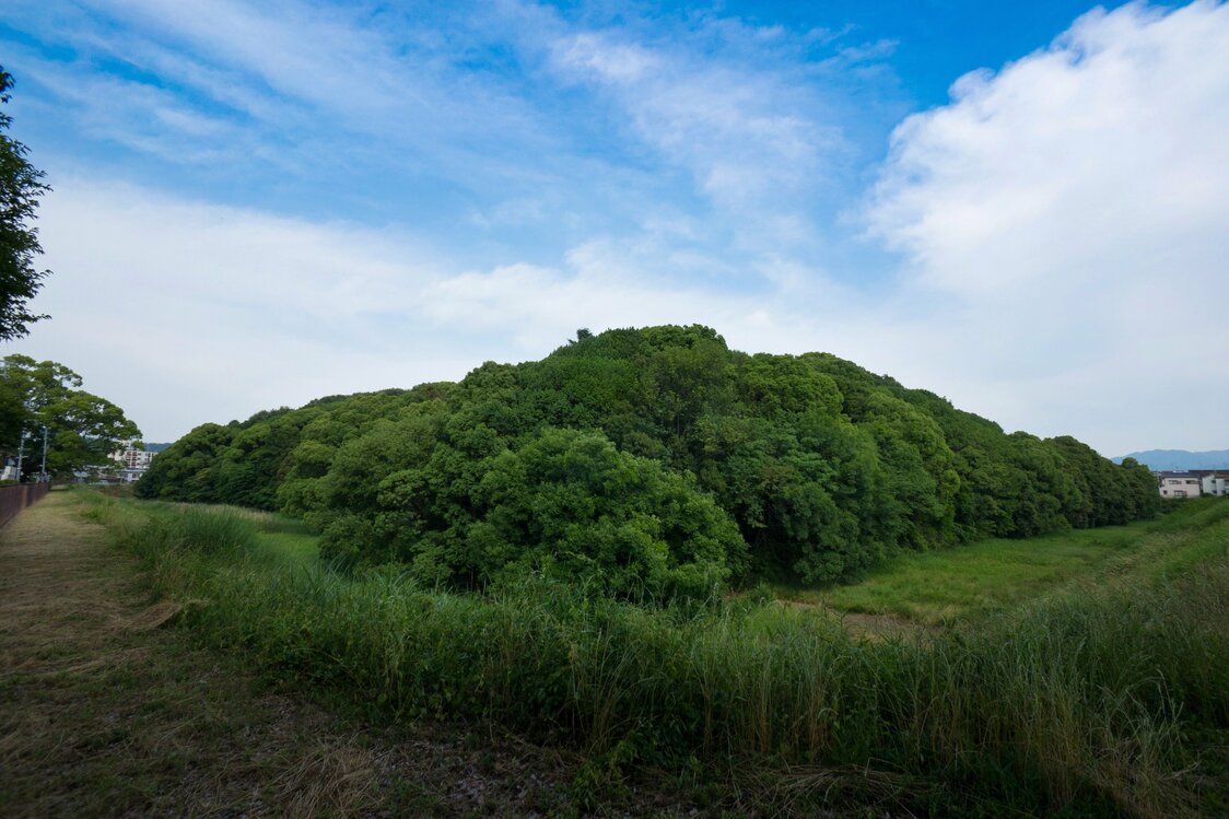 台地の上にある仲姫命陵古墳の全長は300メートル近いが、周囲の堀は狭い