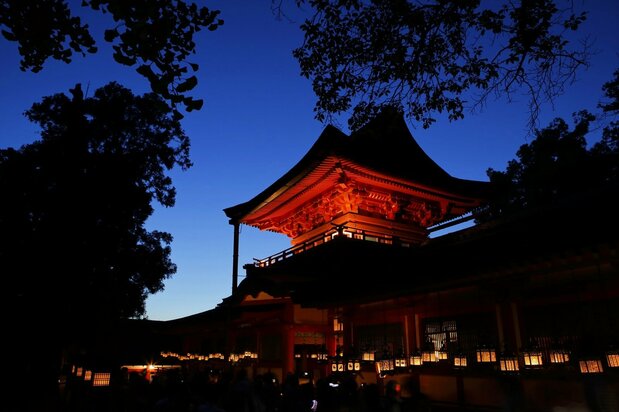 The shrine is enveloped in a phantasmagorical atmosphere during Mantōrō. (© Matsui Yoshihiro)