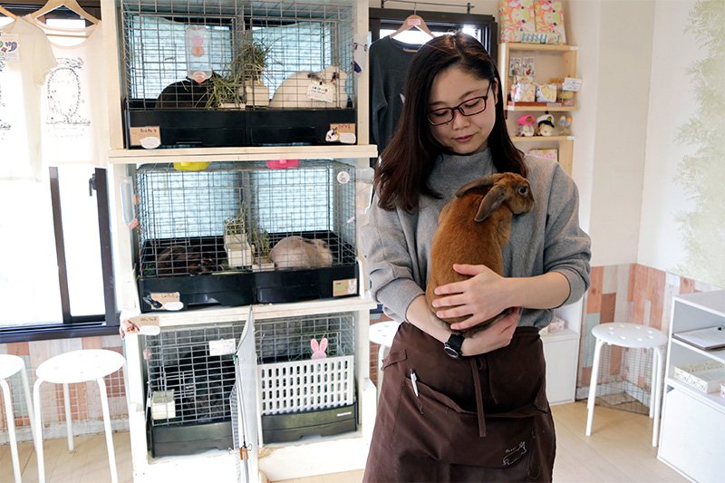 店长不破麻里亚说，咖啡馆的理念是“来喜欢小兔子的姐姐家玩”。
