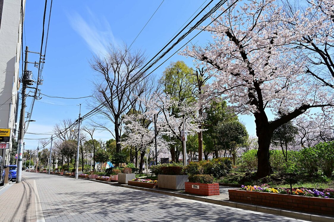 石畳風に舗装された助六夢通りと台東区立隅田公園