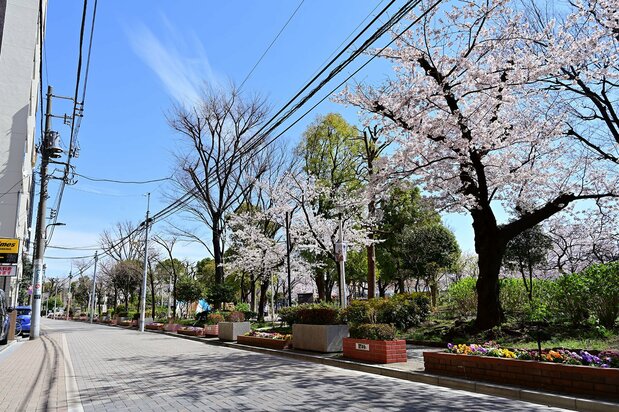 石畳風に舗装された助六夢通りと台東区立隅田公園