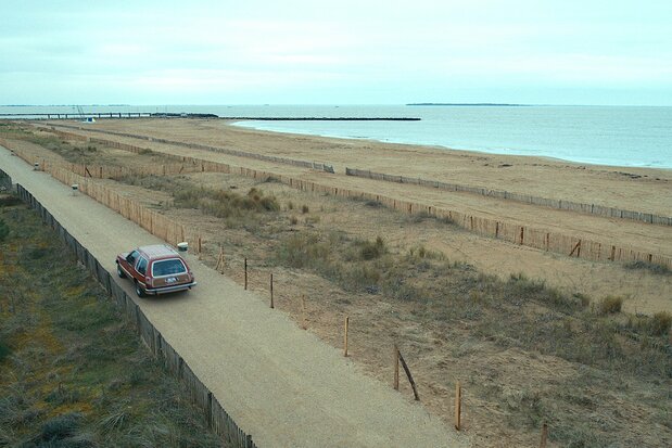 1970年代のアメリカ車「AMCペーサー」に乗って、クラリスは海へと向かう © 2021 - LES FILMS DU POISSON – GAUMONT – ARTE FRANCE CINEMA – LUPA FILM