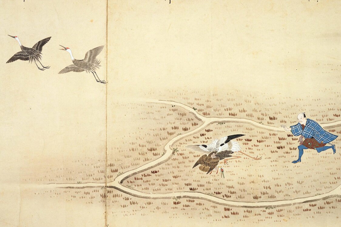 江戸後期の『御鷹野図巻』（国会図書館蔵）の一部分。鷹が捕まえているのは目の周りが赤いマナヅルで、飛んで逃げているのがナベヅル。革の手袋「餌掛け（えがけ）」を着けた鷹匠（たかじょう）が駆け寄っている