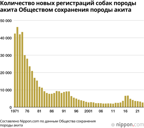 Количество новых регистраций собак породы акита Обществом сохранения породы акита