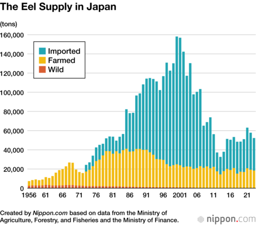 The Eel Supply in Japan