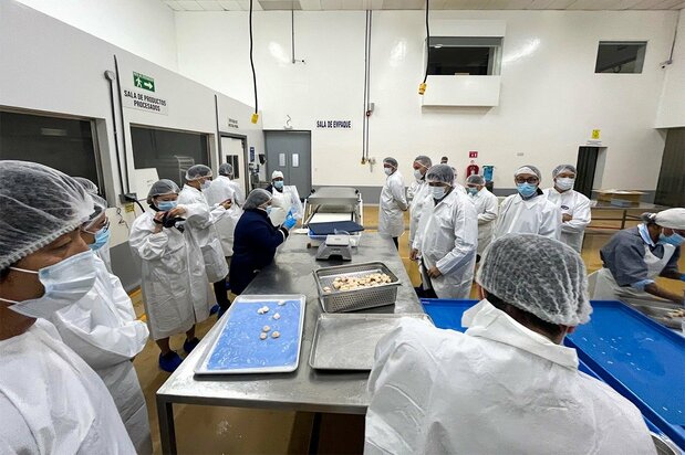 The Japanese seafood industry mission visits Ensenada, Mexico, in March 2024. (Courtesy JETRO)