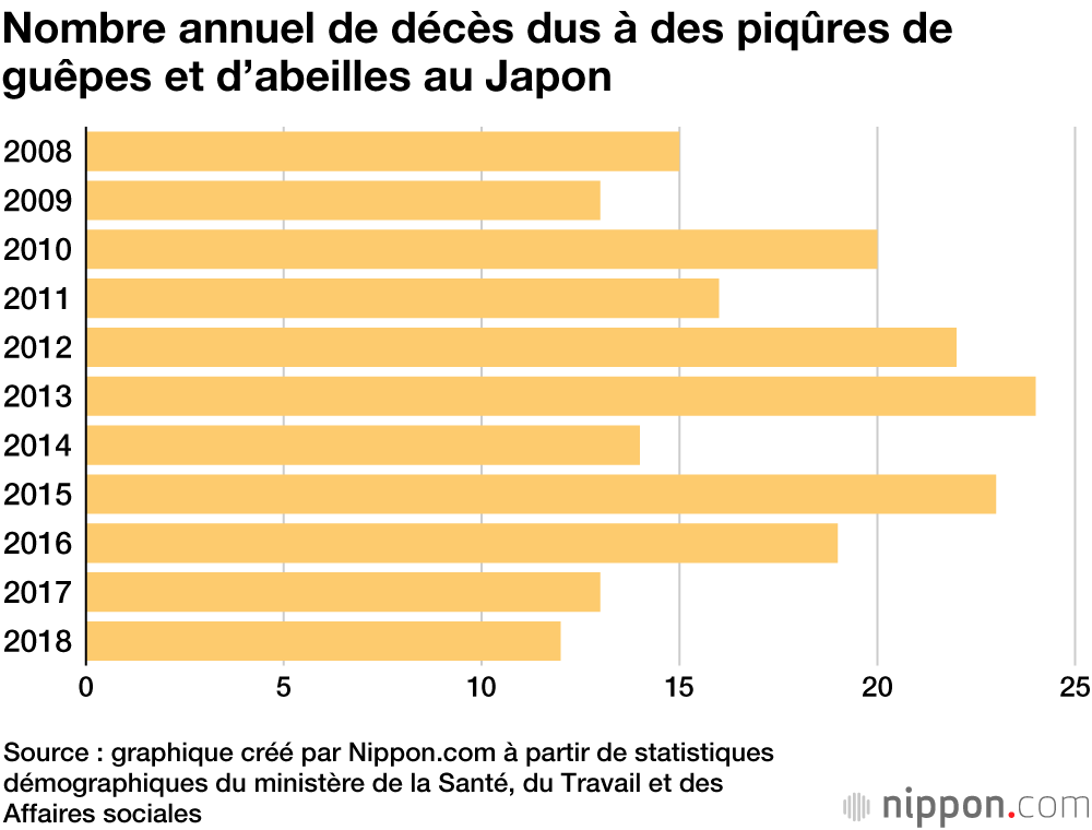 Les guêpes plus meurtrières que les ours ou les serpents au Japon
