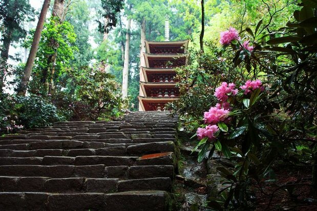 奈良県の山中にある室生寺。美しい五重の塔で知られる。1998年、台風により損傷を被ったものの2000年に修復された。
