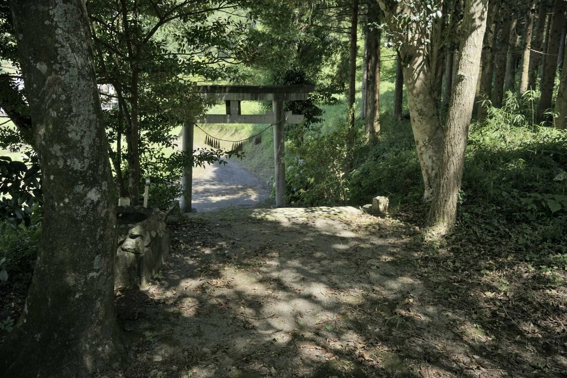 El camino de acceso al pabellón del santuario (sandō) estaba flanqueado por árboles. Fotografía: Ōsaka Hiroshi.