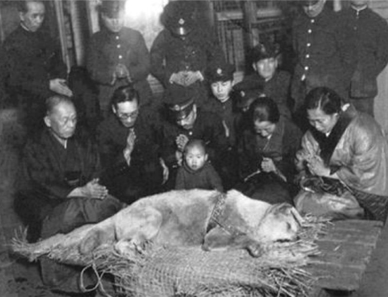 1935年3月、渋谷駅に運ばれたハチの遺体を取り囲んで上野博士の遺族らが手を合わせる