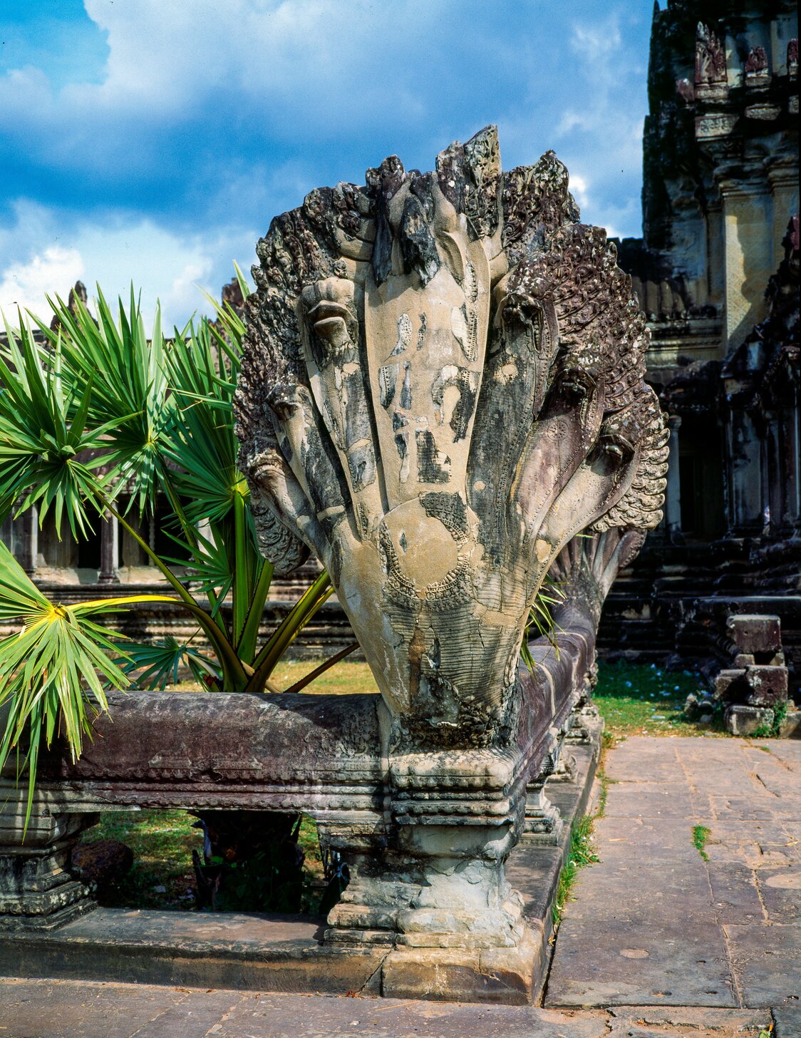 Estatua de Naga, la serpiente gigante de múltiples cabezas, que se conserva en las ruinas de Angkor Wat.