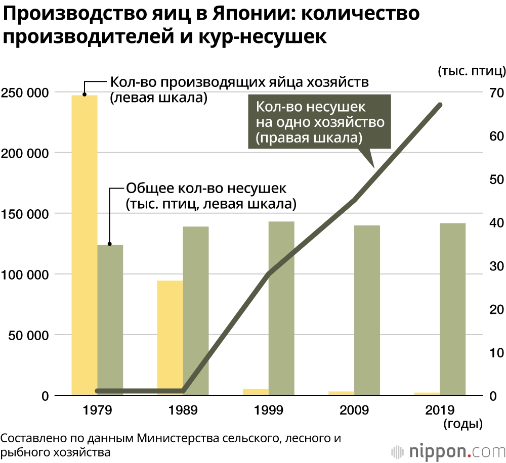 В Японии любят яйца: стабильные низкие цены и разнообразие применения