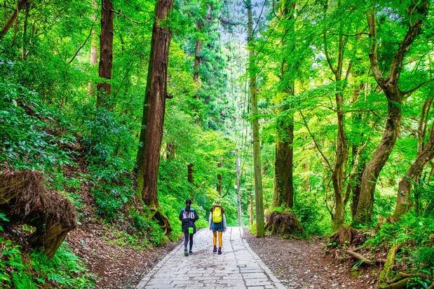 Easily accessible from central Tokyo, Mount Takao appeals to casual hikers. (© Pixta)
