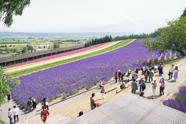 Breathtakingly colorful views entice photographers and sightseers.