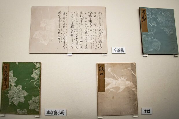 表紙と本文に光沢のある文様を配した「光悦謡本（うたいぼん） 特製本」（法政大学鴻山文庫所蔵）。出版物からも優れた美的センスがうかがえる