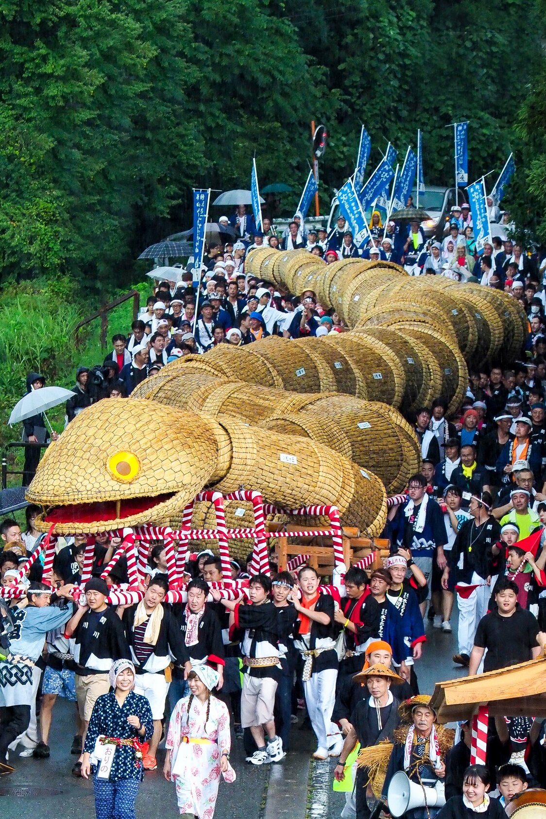 La enorme serpiente poseedora del récord Guinness.