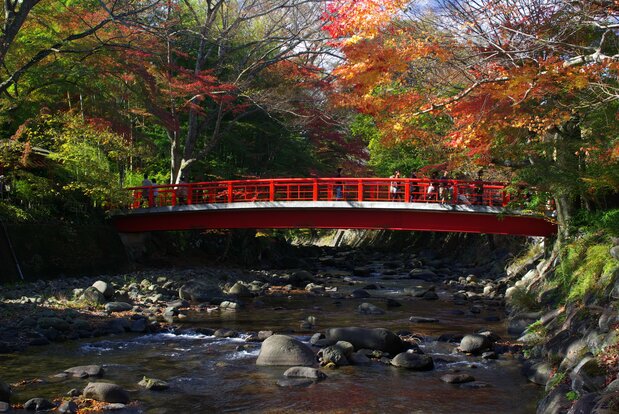 修善寺温泉 桂橋(PIXTA)