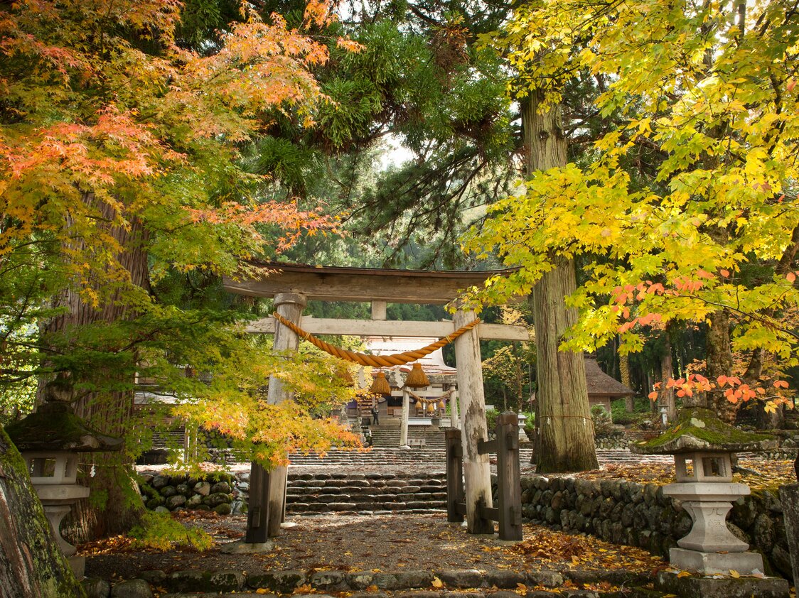 集落の氏神・白川八幡神社も色づく