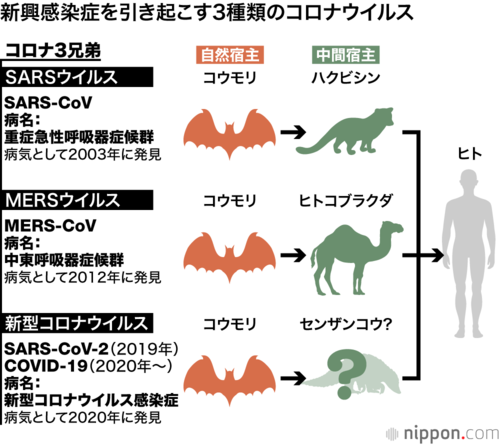 新興感染症を引き起こす3種類のコロナウイルス