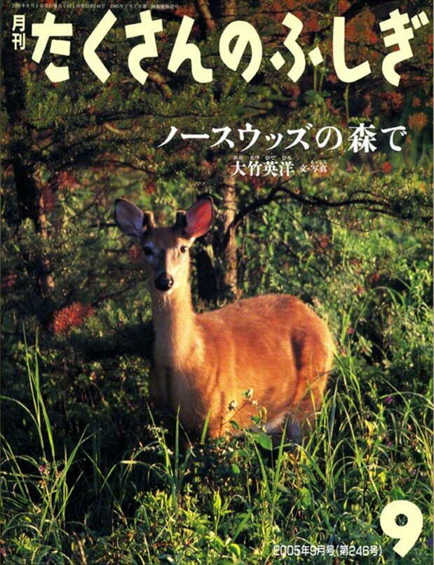 Nōsuuzzu no mori de (Living in the North Woods), the September 2005 issue of Takusan no fushigi (A World of Wonders). The book is now available in a special hardcover edition.
