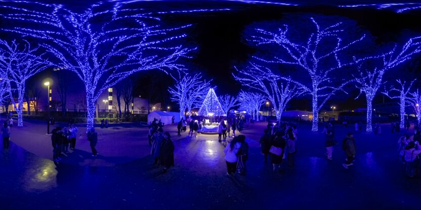 La Cueva Azul Shibuya (distrito de Shibuya); cerca de 770.000 luces crean en ella un ambiente navideño.
