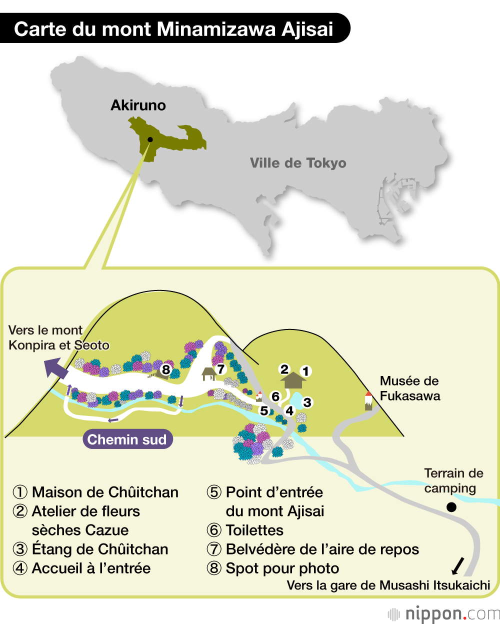 Le mont Ajisai, une colline aux hortensias cultivées par un seul homme depuis 50 ans