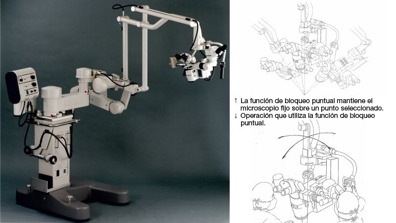 El Space Pointer Cygnus (1989).