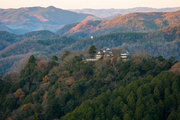 雲海が出ていなくても、展望台からの山頂にたたずむ備中松山城の姿は必見