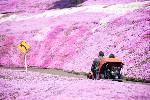 Se puede recorrer el paisaje rosa montado en kart.